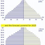 India’s population pyramid – distribution