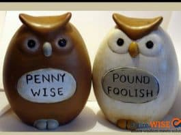 A penny-wise consumer - A pound-foolish investor