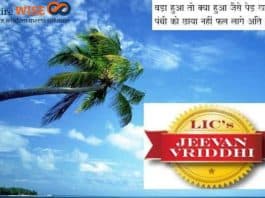 LIC Jeevan Vriddhi Review - Think Twice