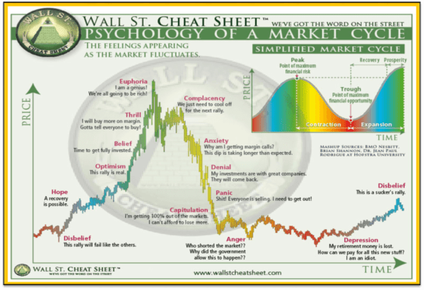 Investor Behavior