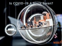Is COVID-19 A Black Swan?