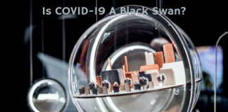 Is COVID-19 A Black Swan?