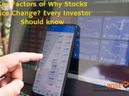 Key Factors of Why Stocks Price Change? Every Investor Should know